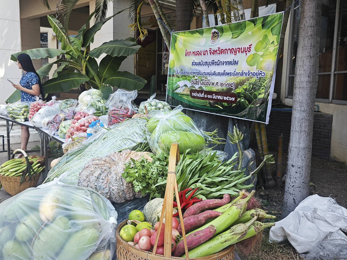 จังหวัดกาญจนบุรี ลุย!! ยกระดับการสร้างความมั่นคงทางอาหาร นำผลผลิตโคก หนอง นา โมเดลจังหวัดกาญจนบุรี เเละกิจกรรมบ้านนี้มีรัก ปลูกผักกินเอง สู่การแบ่งปันเพื่อสังคม ชุมชน และกลุ่มเปราะบาง