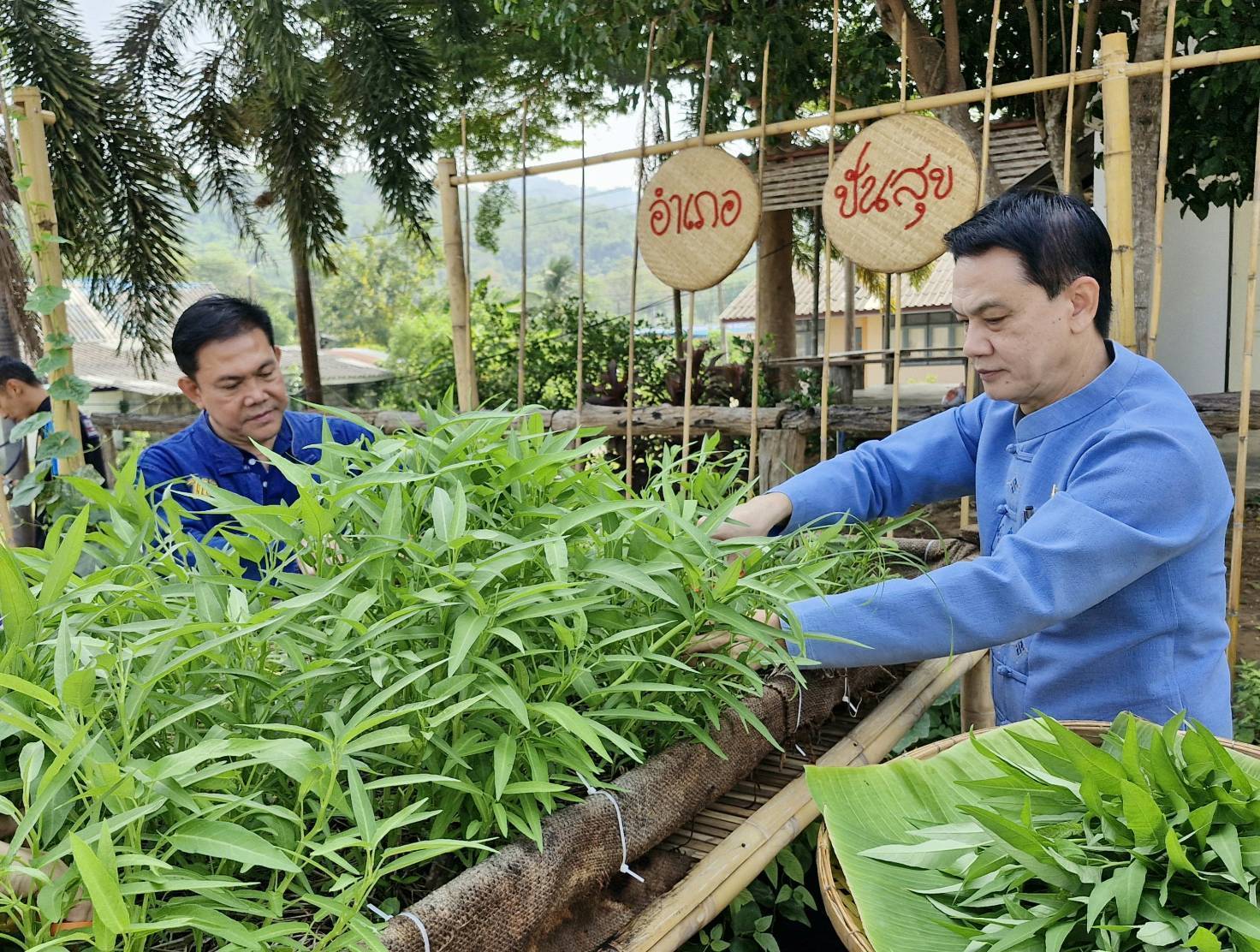 พช. กาญจนบุรี นำผู้ตรวจราชกรม (นายอาทร  พิมชะนก) ลงพื้นที่ถอดบทเรียนความสำเร็จการพัฒนาพื้นที่อำเภอไทรโยค