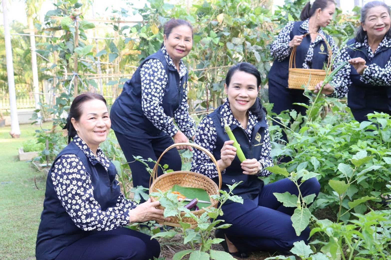 จังหวัดกาญจนบุรี ลุย!! ยกระดับการสร้างความมั่นคงทางอาหาร นำผลผลิตโคก หนอง นา โมเดลจังหวัดกาญจนบุรี เเละกิจกรรมบ้านนี้มีรัก ปลูกผักกินเอง สู่การแบ่งปันเพื่อสังคม ชุมชน และกลุ่มเปราะบาง