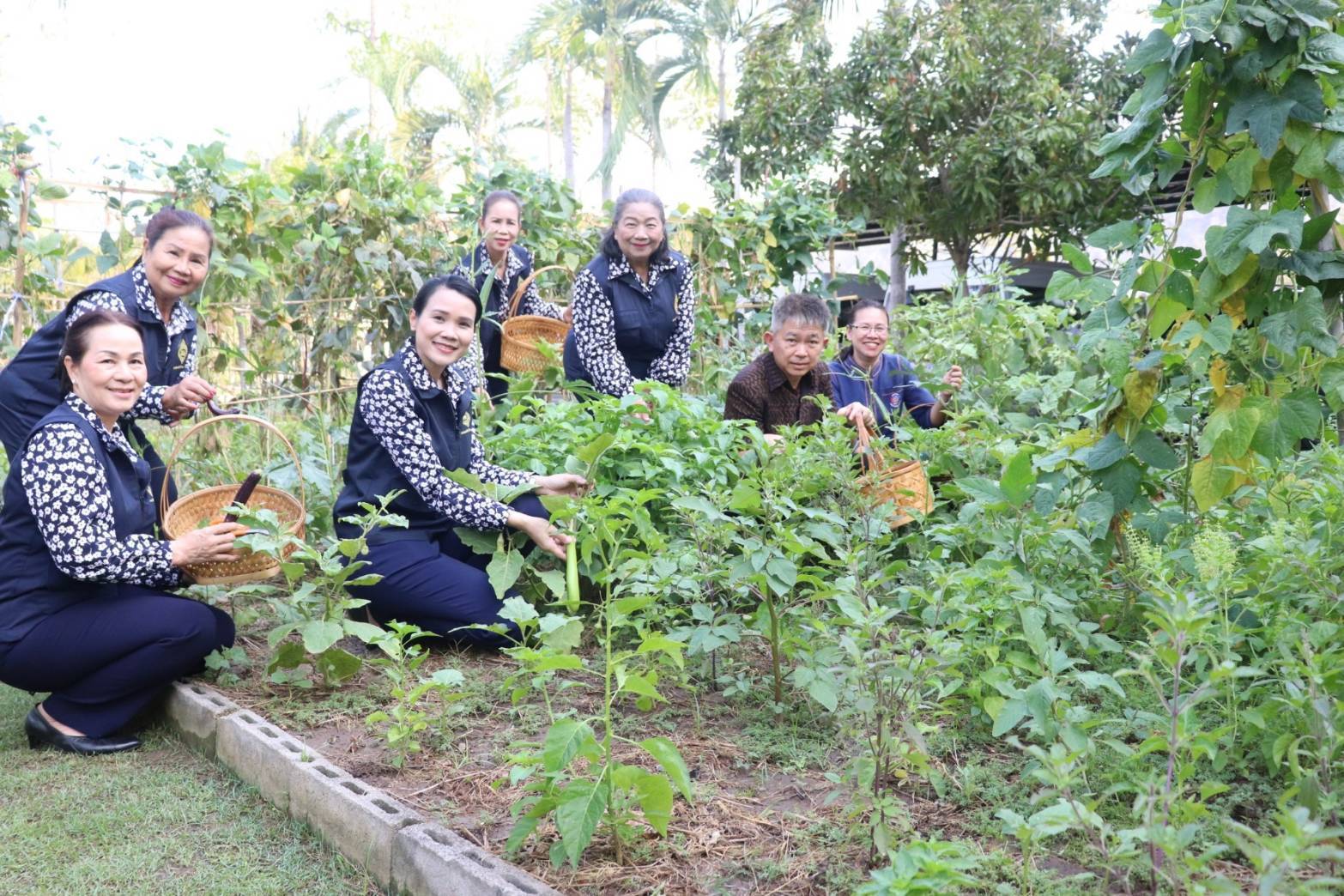 จังหวัดกาญจนบุรี ลุย!! ยกระดับการสร้างความมั่นคงทางอาหาร นำผลผลิตโคก หนอง นา โมเดลจังหวัดกาญจนบุรี เเละกิจกรรมบ้านนี้มีรัก ปลูกผักกินเอง สู่การแบ่งปันเพื่อสังคม ชุมชน และกลุ่มเปราะบาง