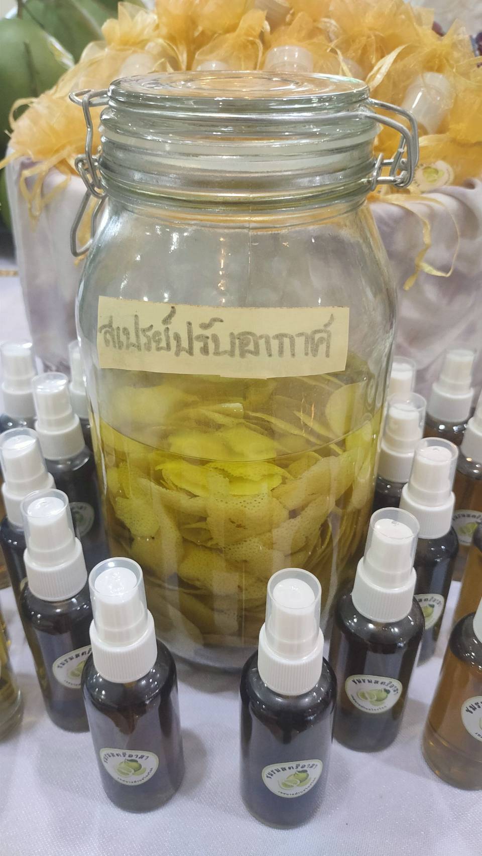 พช.กาญจนบุรี นำคณะกรรมการคัดเลือกคนกองทุนพัฒนาบทบาทสตรีดีเด่นระดับจังหวัด ลงพื้นที่คัดสรรกลุ่มเป้าหมาย ตามโครงการเชิดชูเกียรติคนกองทุนพัฒนาบทบาทสตรี ประจำปี 2567
