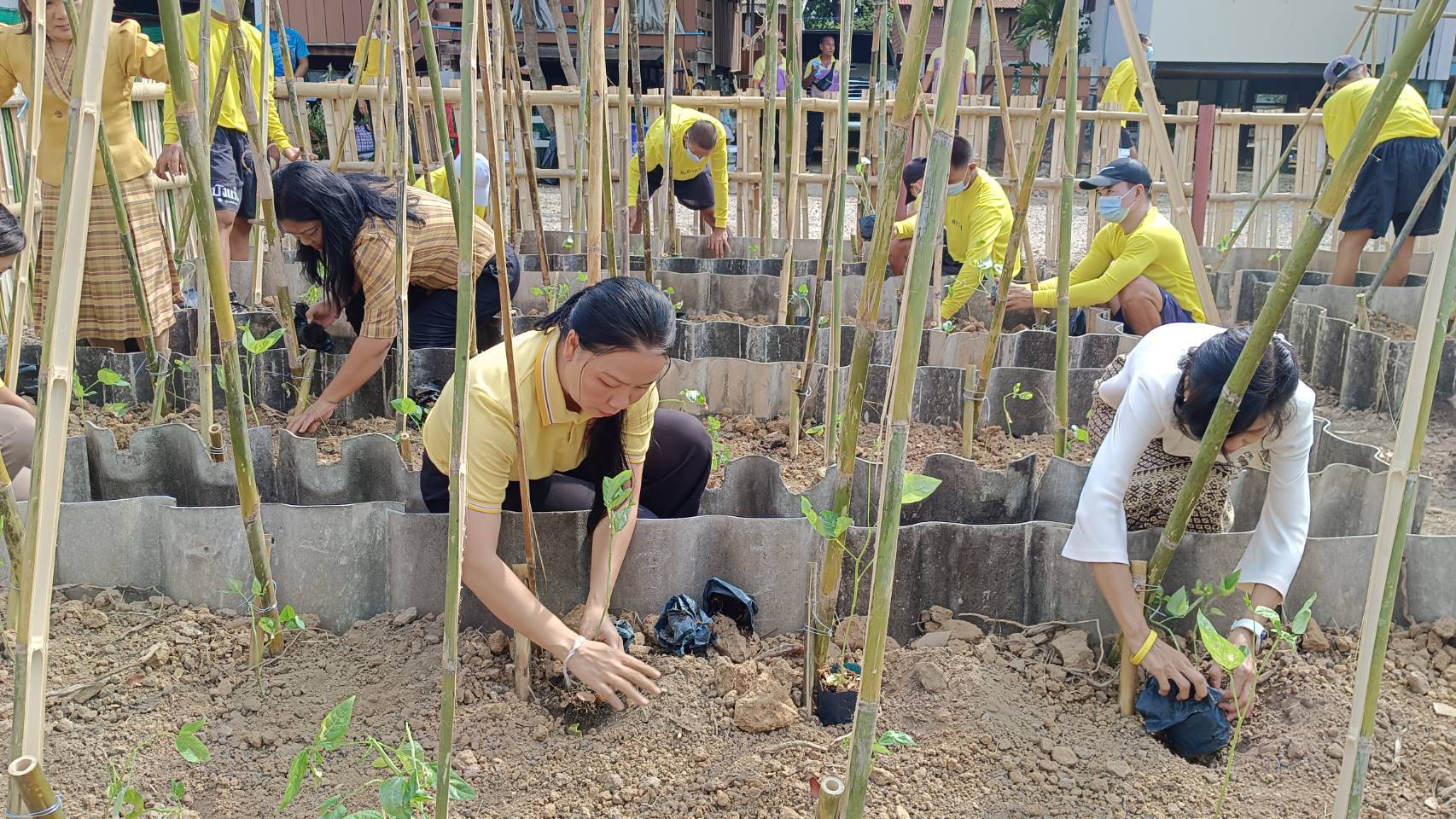 พช.กาญจนบุรี จับมือ ภาคีเครือข่ายสืบสานพระราชปณิธาน ขับเคลื่อนโครงการ “โคกหนองนาแห่งน้ำใจและความหวัง กรมราชทัณฑ์”