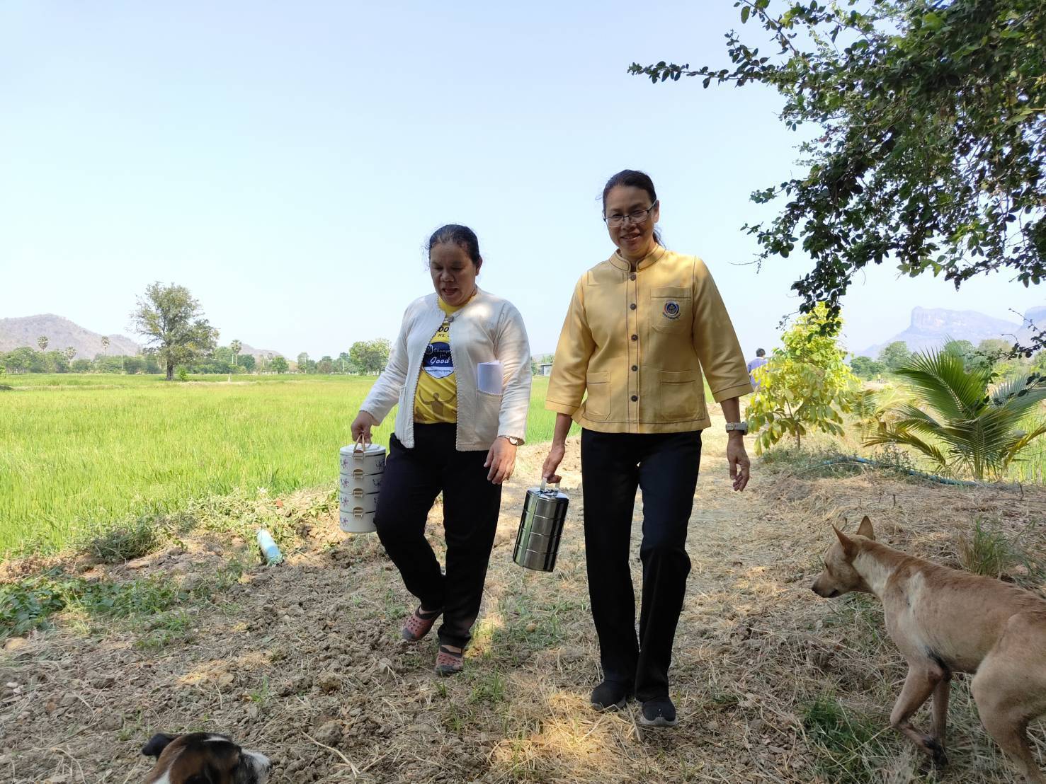 พช.กาญจนบุรี จัดกิจกรรม”หิ้วปิ่นโต เอามื้อสามัคคี ทำความดี ถวายเป็นพระราชกุศล” โคก หนอง นา หน้าแล้ง แต่ไม่แล้งน้ำ(ใจ) ส่งเสริมความร่วมมือสู่การแบ่งปันที่ยั่งยืน
