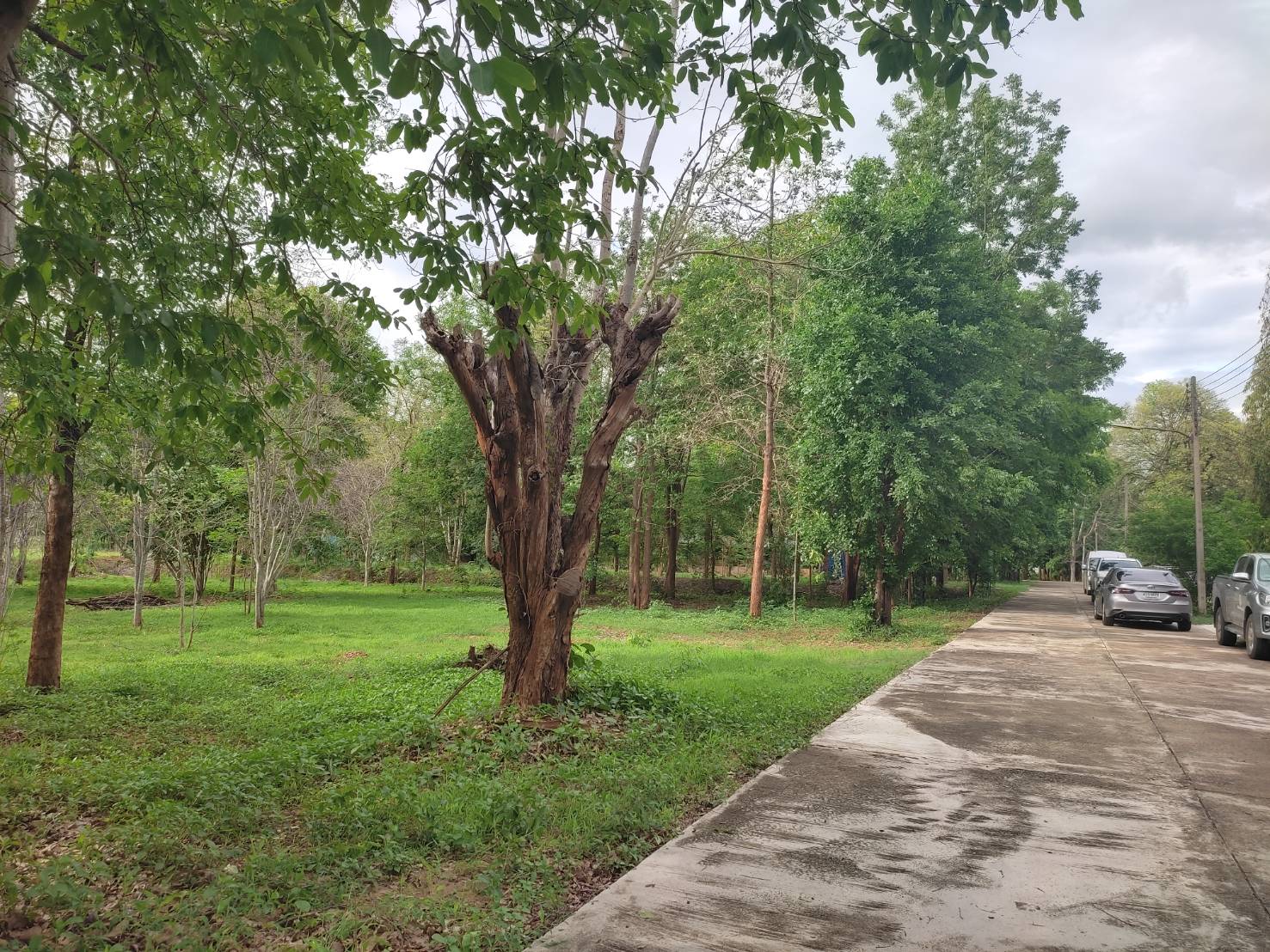 รองผู้ว่าฯจังหวัดกาญจนบุรี ลงพื้นที่ติดตามความก้าวหน้าโครงการพัฒนาพื้นที่ต้นแบบ เพื่อพัฒนาคุณภาพชีวิตแบบอารยเกษตร ตามแนวพระราชดำริ ศูนย์พัฒนาอาชีพหนองบัว เพื่อสร้างแหล่งเรียนรู้คู่ชุมชน เป็นต้นแบบในการพัฒนาคุณภาพชีวิตประชาชนให้มีความสุขอย่างยั่งยืน