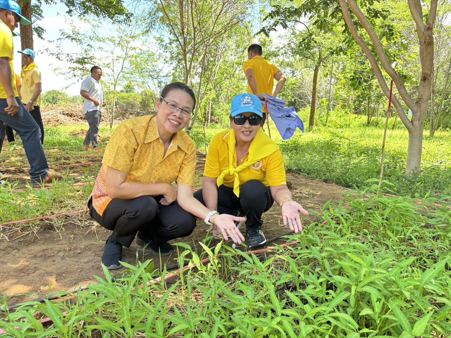 พช.กาญจนบุรี ร่วมกับอำเภอเมืองกาญจนบุรี ขับเคลื่อนโครงการพัฒนาพื้นที่ต้นแบบ เพื่อพัฒนาคุณภาพชีวิตแบบอารยเกษตร ตามแนวพระราชดำริ ศูนย์พัฒนาอาชีพหนองบัว