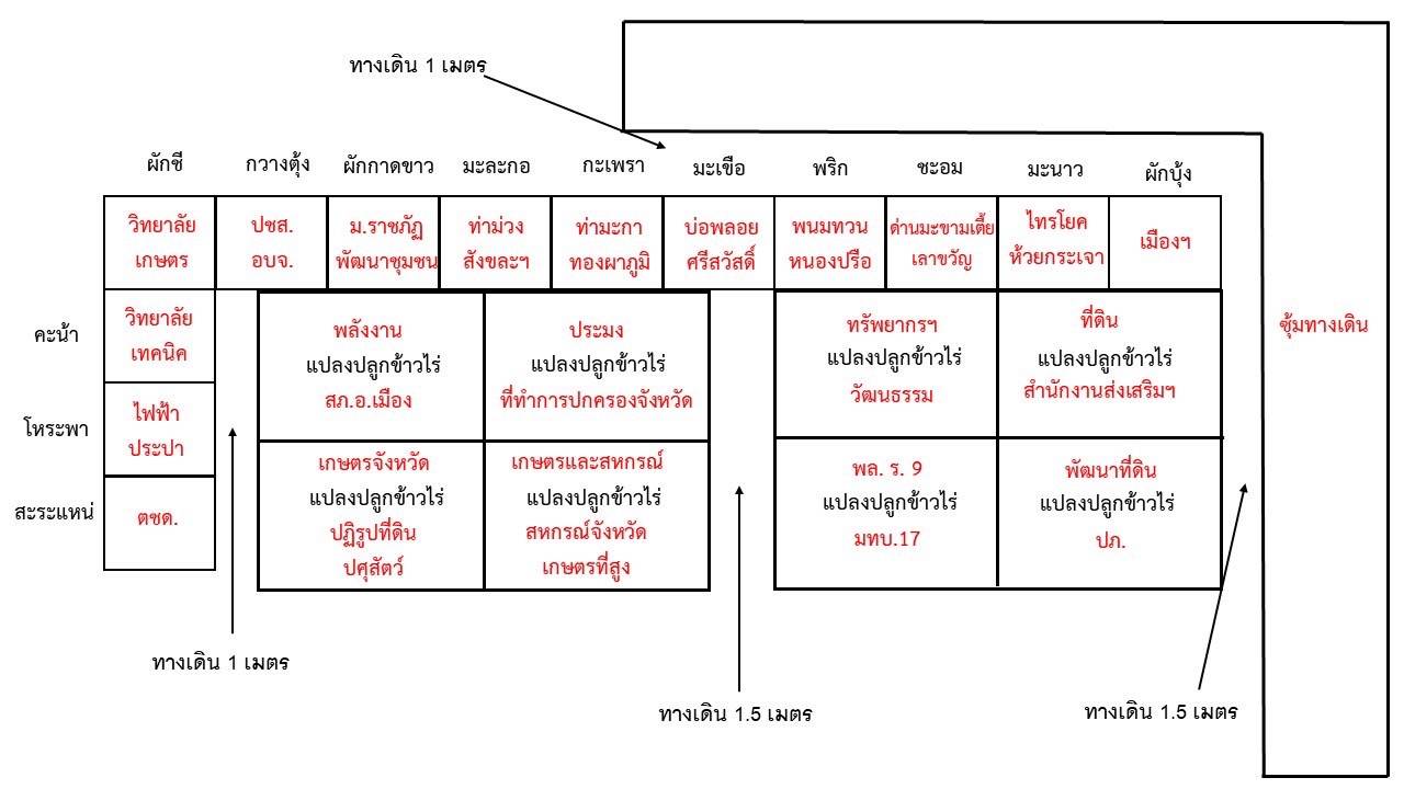 พช.กาญจนบุรี ร่วมกับอำเภอเมืองกาญจนบุรี ขับเคลื่อนโครงการพัฒนาพื้นที่ต้นแบบ เพื่อพัฒนาคุณภาพชีวิตแบบอารยเกษตร ตามแนวพระราชดำริ ศูนย์พัฒนาอาชีพหนองบัว