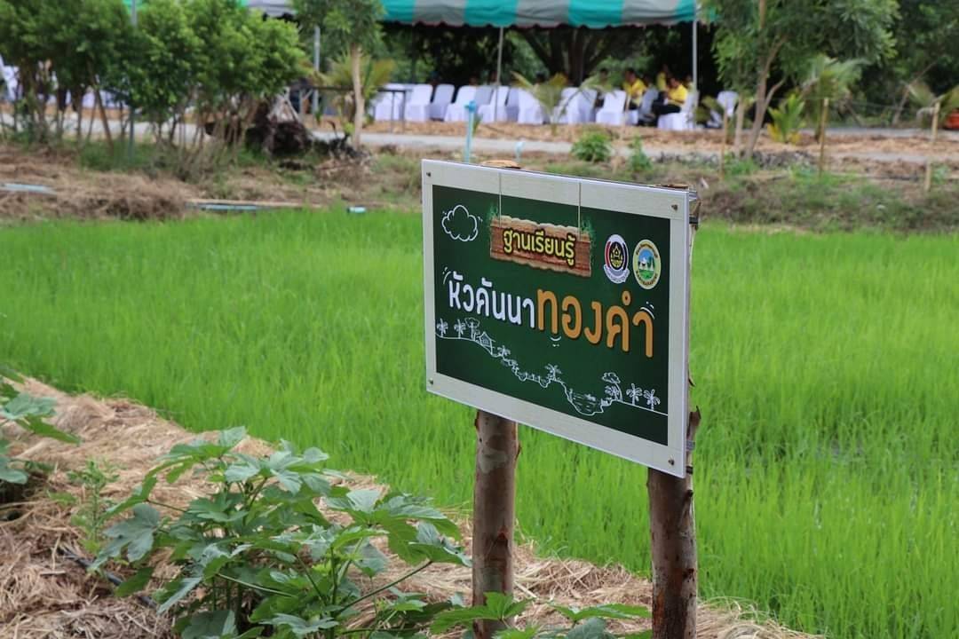 CDD KAN News : พช.กาญจนบุรี ผนึกกำลังขับเคลื่อนโครงการ โคก หนอง นา อารยเกษตร เฉลิมพระเกียรติพระบาทสมเด็จพระเจ้าอยู่หัวเนื่องในโอกาสพระราชพิธีมหามงคลเฉลิมพระชนมพรรษา 6 รอบ 28 กรกฎาคม 2567