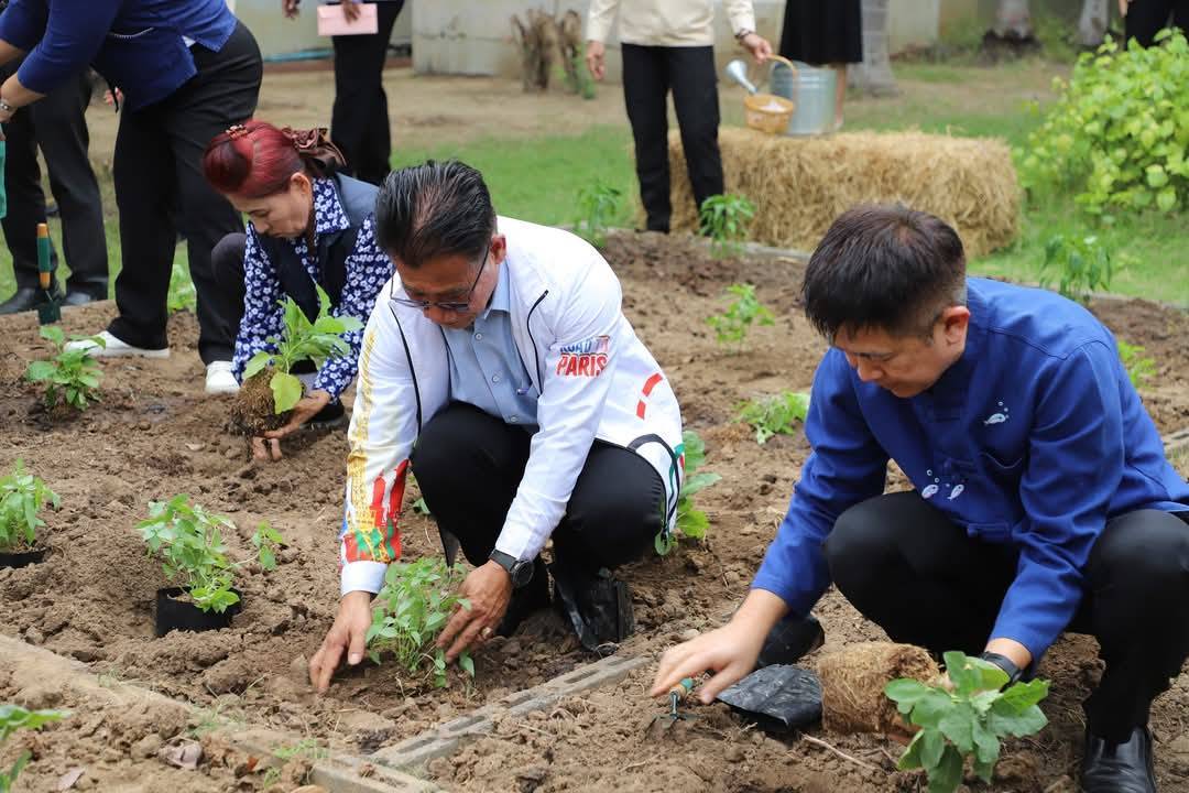 ผู้ว่าราชการจังหวัดกาญจนบุรี เปิดจวนปลูกผักสวนครัว เป็นต้นแบบผู้นำต้องทำก่อน เพื่อสร้างความมั่นคงทางอาหาร ตามแนวพระราชดำริสมเด็จพระกนิษฐาธิราชเจ้า กรมสมเด็จพระเทพรัตนราชสุดาฯ สยามบรมราชกุมารี