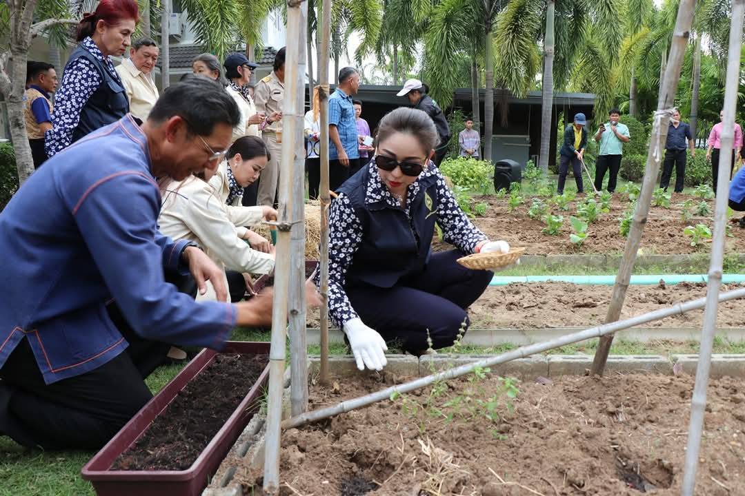 ผู้ว่าราชการจังหวัดกาญจนบุรี เปิดจวนปลูกผักสวนครัว เป็นต้นแบบผู้นำต้องทำก่อน เพื่อสร้างความมั่นคงทางอาหาร ตามแนวพระราชดำริสมเด็จพระกนิษฐาธิราชเจ้า กรมสมเด็จพระเทพรัตนราชสุดาฯ สยามบรมราชกุมารี