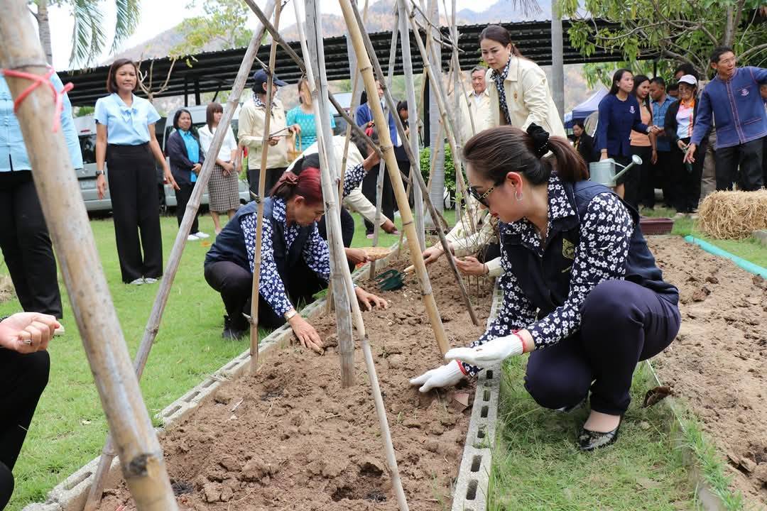 ผู้ว่าราชการจังหวัดกาญจนบุรี เปิดจวนปลูกผักสวนครัว เป็นต้นแบบผู้นำต้องทำก่อน เพื่อสร้างความมั่นคงทางอาหาร ตามแนวพระราชดำริสมเด็จพระกนิษฐาธิราชเจ้า กรมสมเด็จพระเทพรัตนราชสุดาฯ สยามบรมราชกุมารี