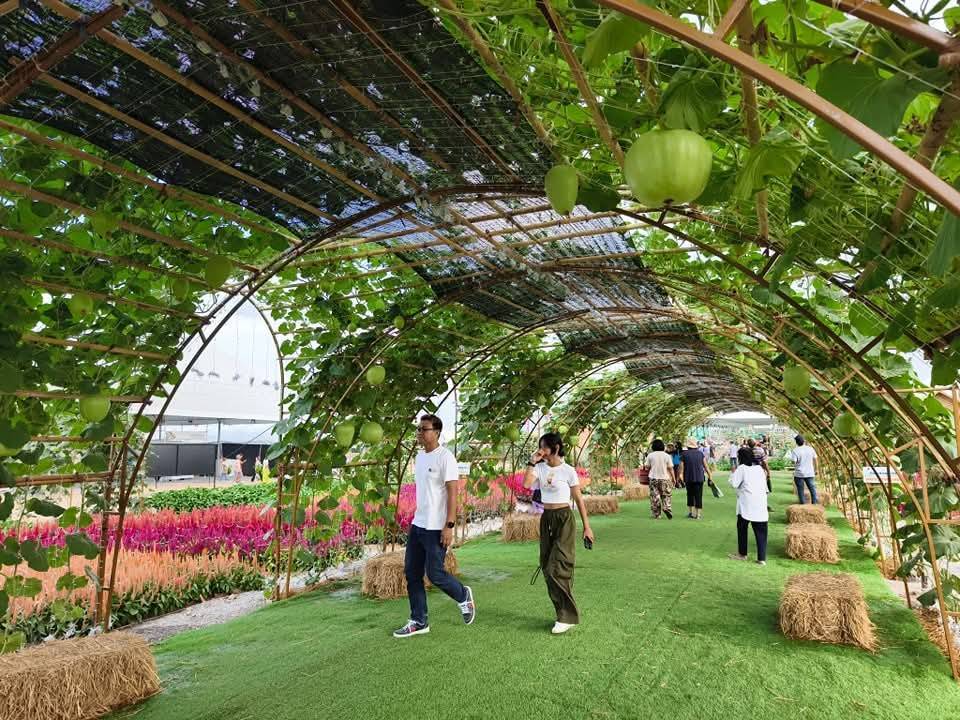 พจ. กาญจนบุรี ร่วมเปิดงานมหกรรมเกษตรแฟร์สามบุรี @กาญจนบุรี” ระหว่างวันที่ 3 – 12 พฤษภาคม 2568 ที่บริเวณทางลงมอเตอร์เวย์ M81 ด่านกาญจนบุรี ติดถนนหมายเลข 324 ตำบลหนองขาว อำเภอท่าม่วง จังหวัดกาญจนบุรี