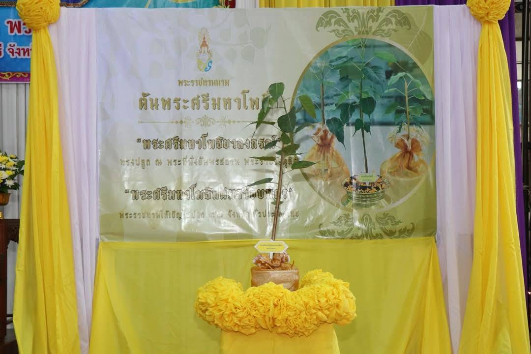 พจ.กาญจนบุรี ร่วมพิธีปลูก “พระศรีมหาโพธิทศมราชบพิตร” เนื่องในเทศกาลสำคัญทางพระพุทธศาสนา วันวิสาขบูชา ประจำปี 2568
