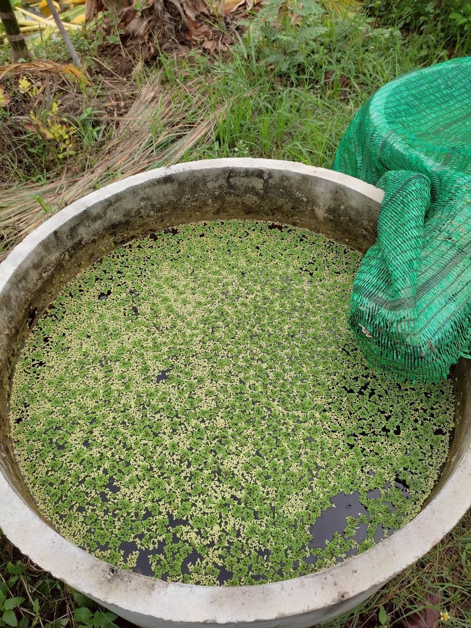 พช. กาญจนบุรี ลงพื้นที่ติดตามการดำเนินงาน โคก หนอง นา “ไร่รักกาญจน์” เพื่อวิเคราะห์ ระดมความคิด วางแผนการสร้างเครือข่ายขับเคลื่อนโครงการสู่การพัฒนาคนอย่างยั่งยืน